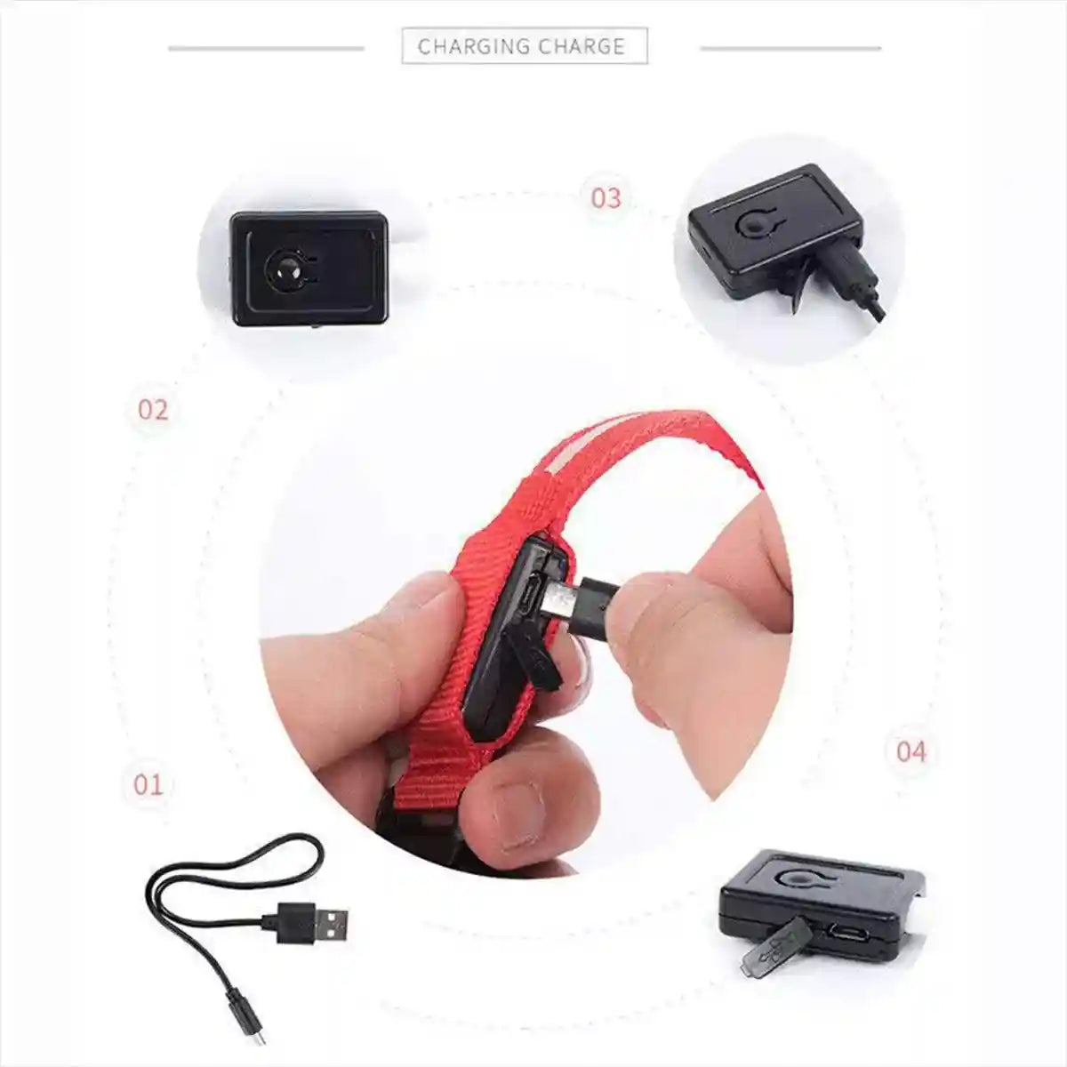 USB Rechargeable Light Up Dog Collar Glow in the Dark Safety for Night Walks