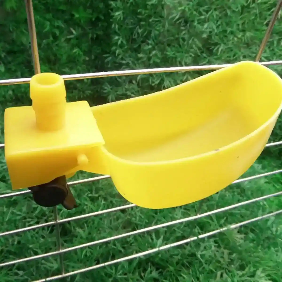 12PCS Automatic Bird Drinker Bowl for Quail and Small Poultry Cages