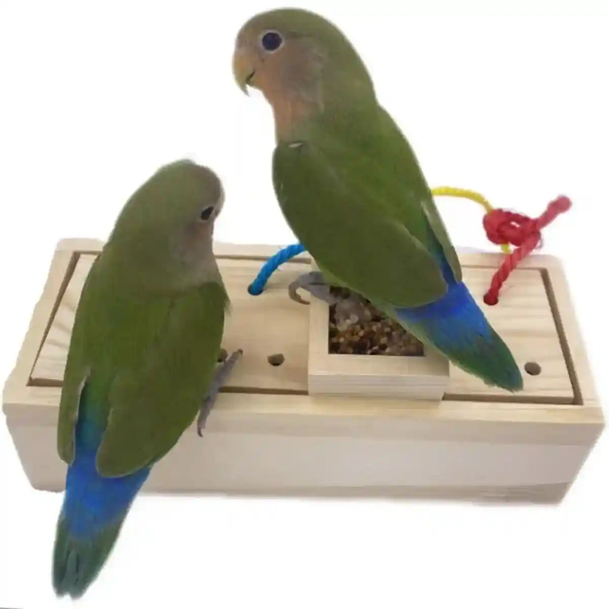 Wooden Parrot Foraging Toy Box with Drawers and Ropes