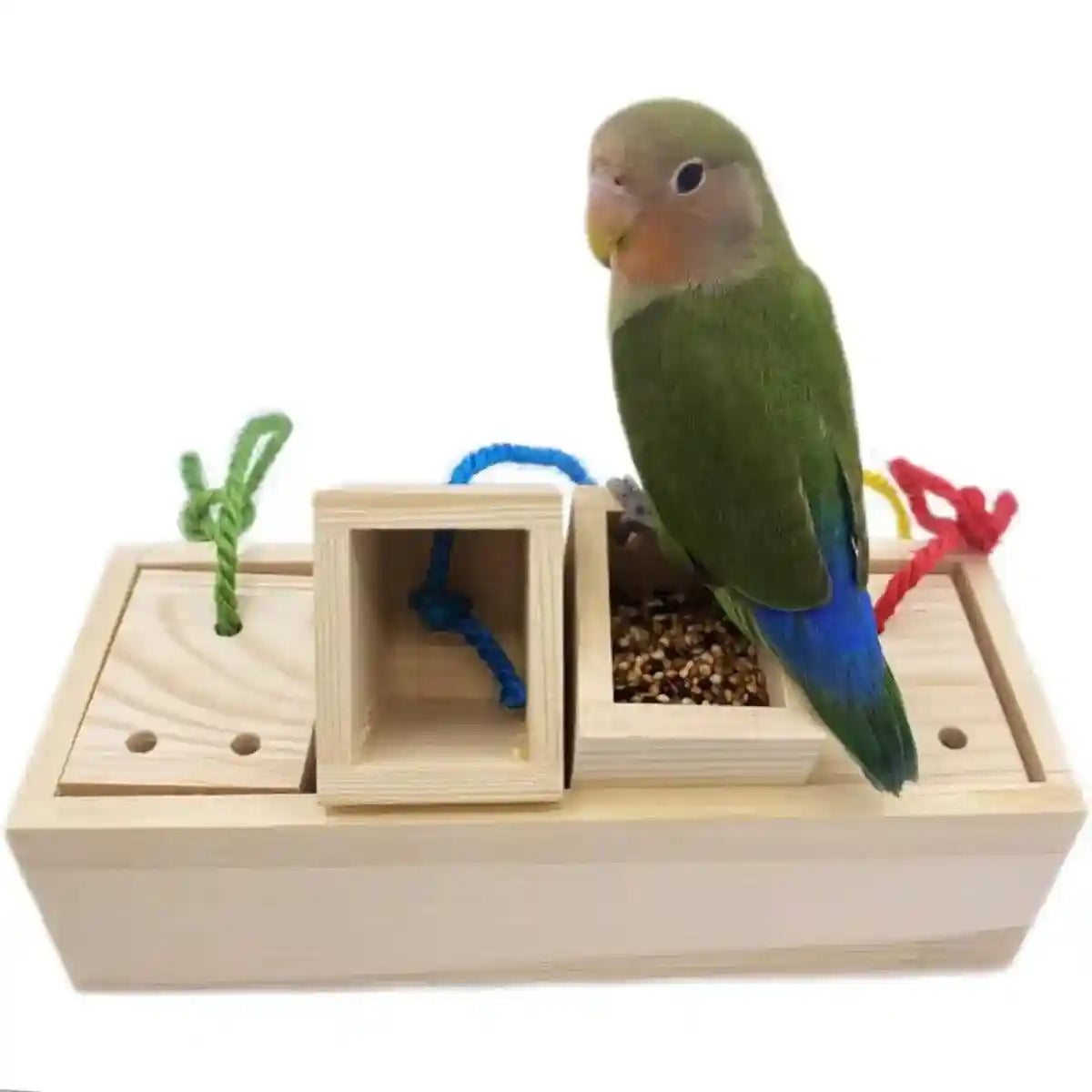 Wooden Parrot Foraging Toy Box with Drawers and Ropes