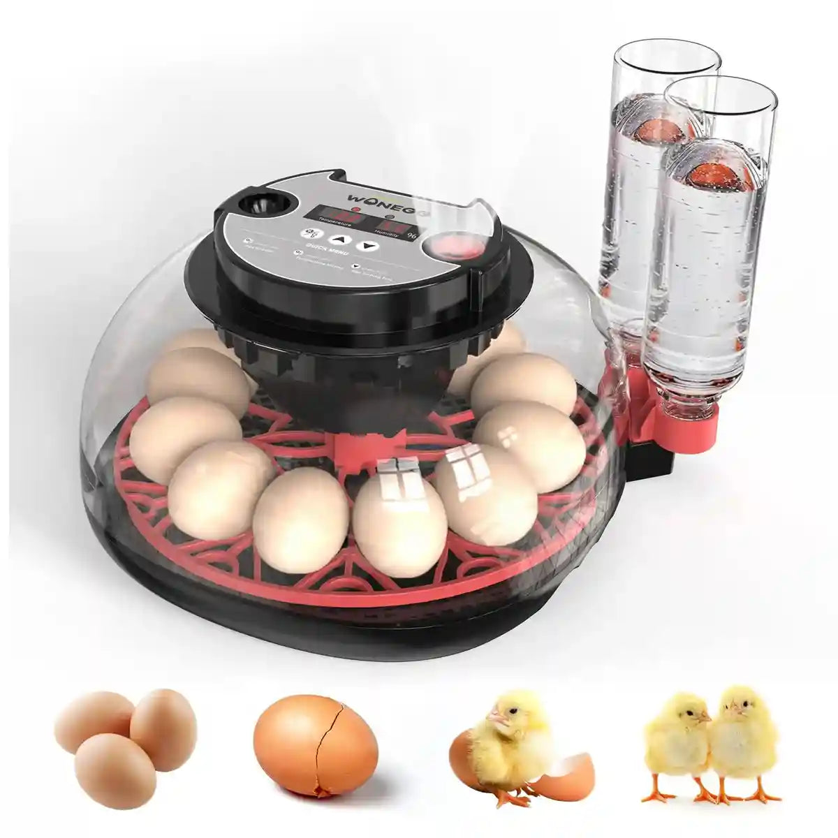 12 Egg Incubator Auto Turn Humidity & Water Refill