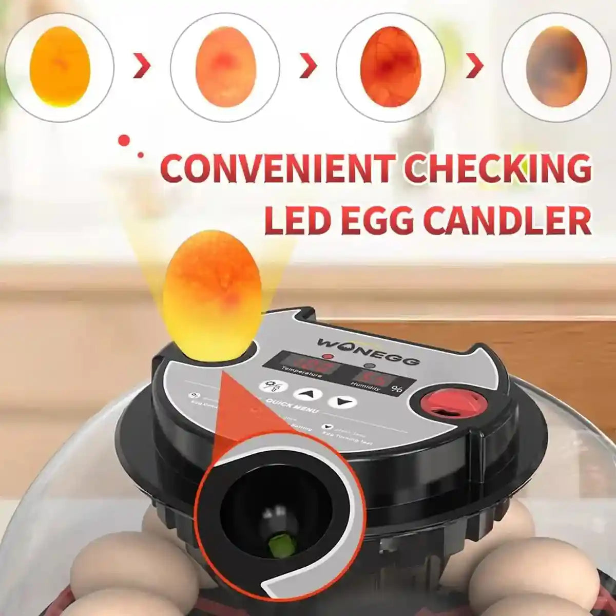 12 Egg Incubator Auto Turn Humidity & Water Refill