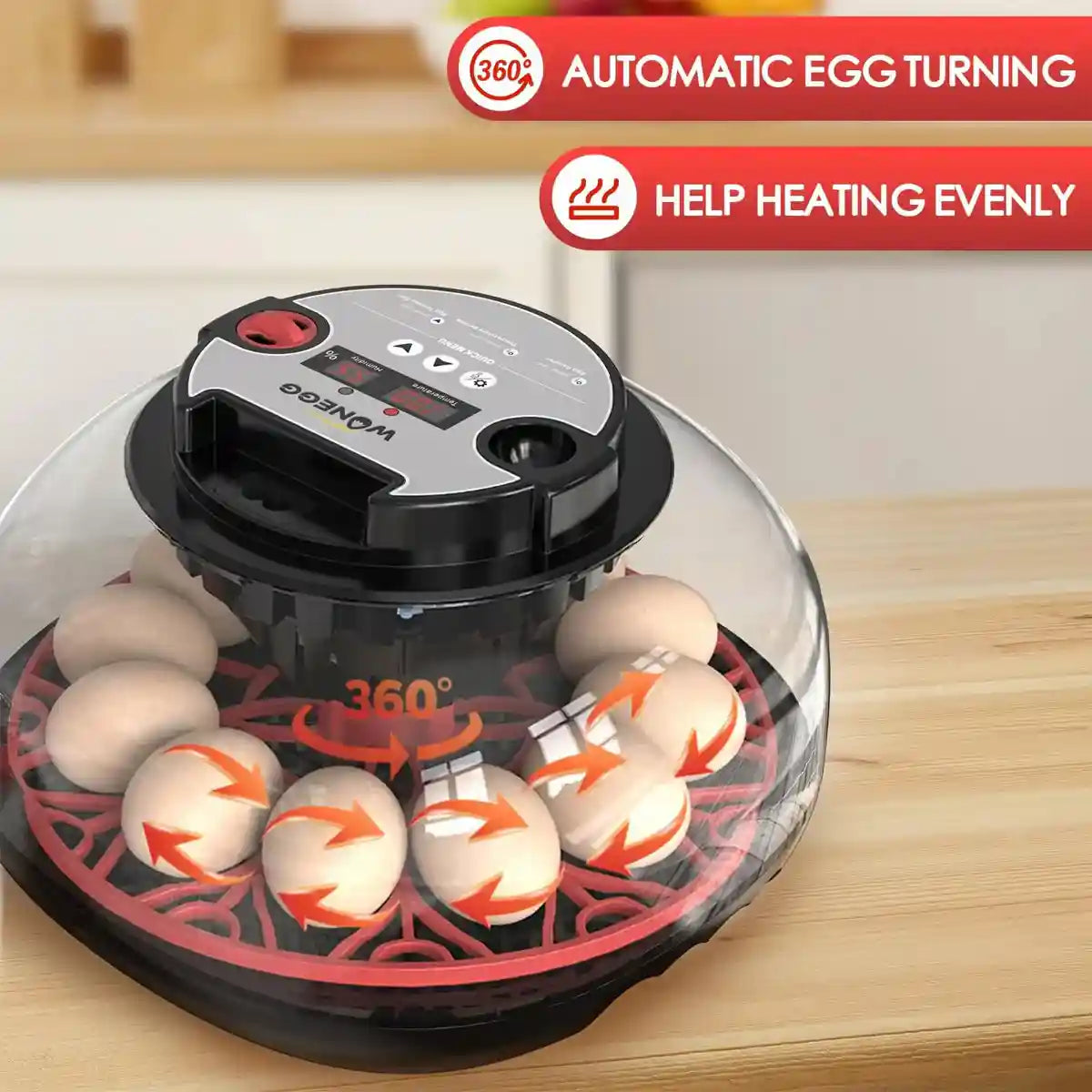 12 Egg Incubator Auto Turn Humidity & Water Refill