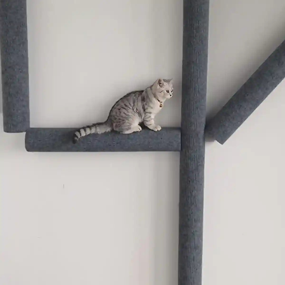 Self-Adhesive Cat Scratching Posts for Wall Cylindrical Climbing Set