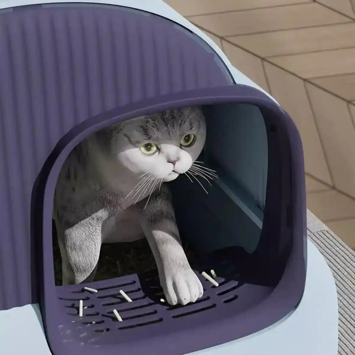 Foldable Cloud-Style Cat Toilet with Enclosed Cat Litter Box Design