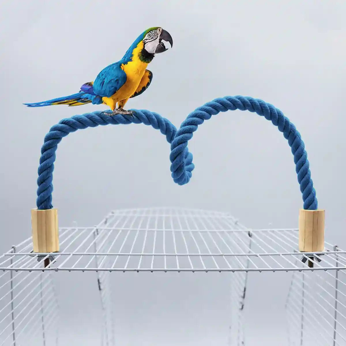 Flexible Bird Rope Perch for Parrots & Pet Birds 55–100cm Options