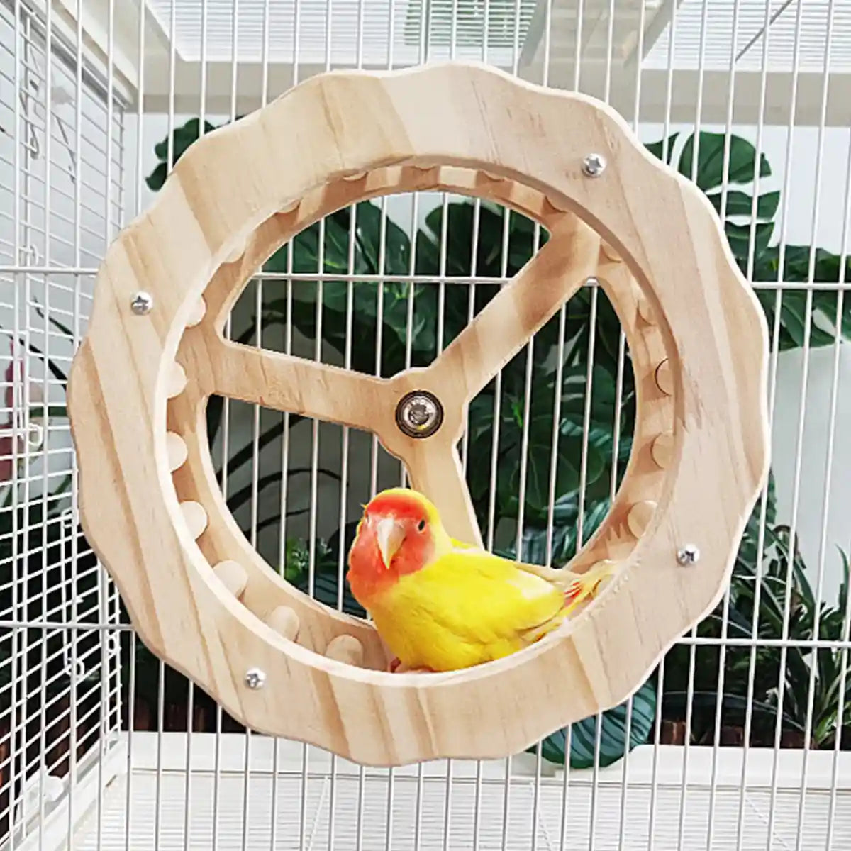 Wooden Parrot Toy Set with Spinning Wheel & Rocker for Cage Mounting