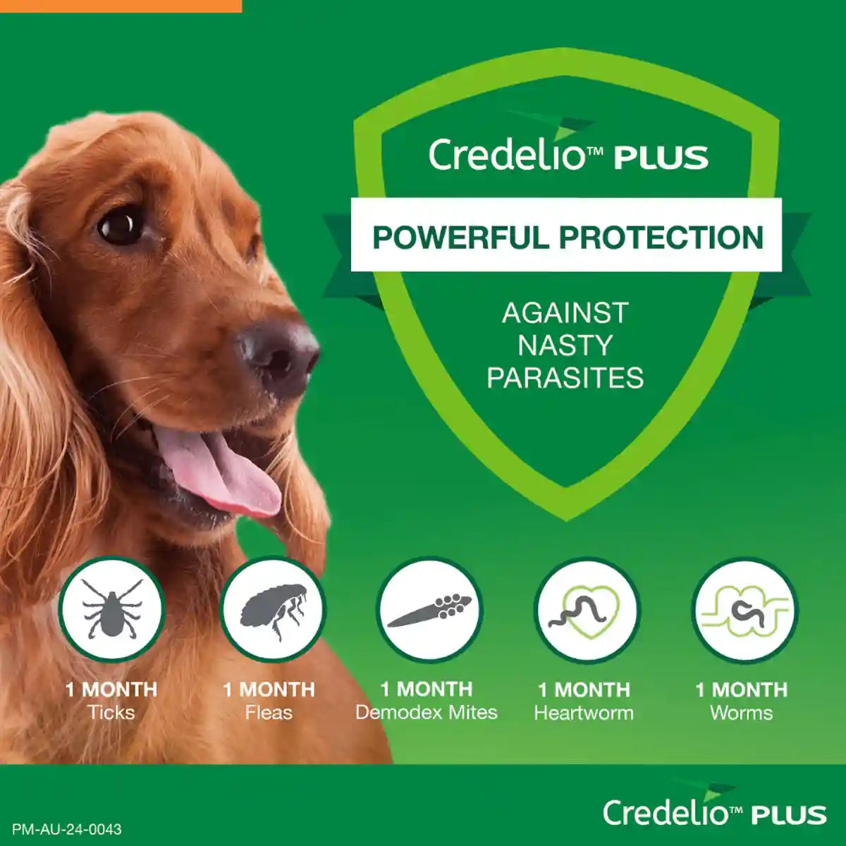 Credelio Plus Chewable Tablets For Medium Dogs 5.6-11kg