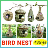 Wild Bird Nest Treehouse
