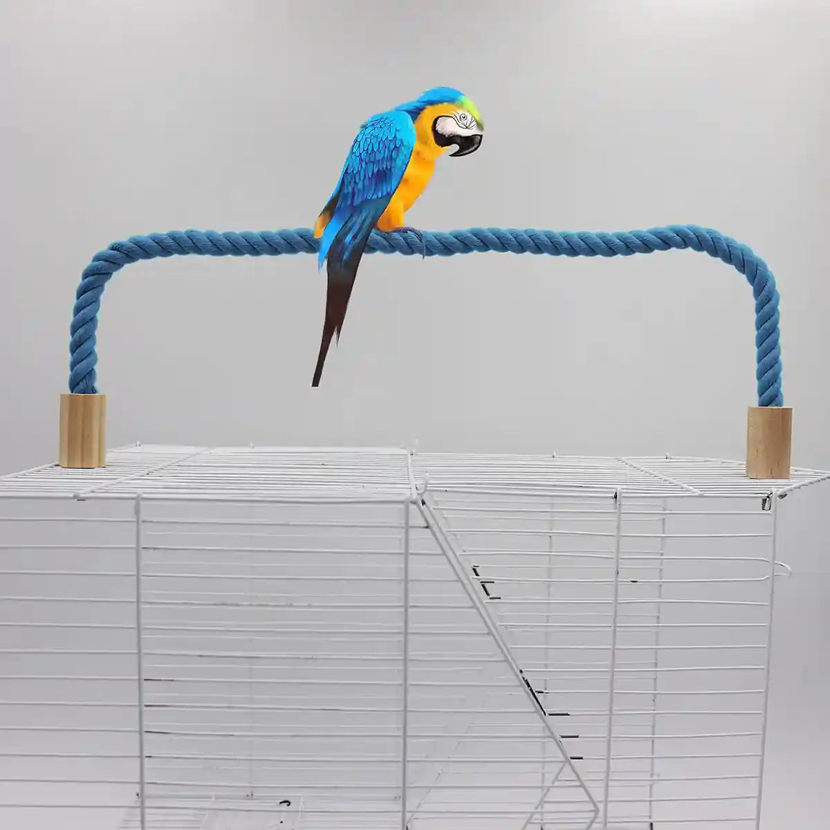 Flexible Bird Rope Perch for Parrots & Pet Birds 55–100cm Options