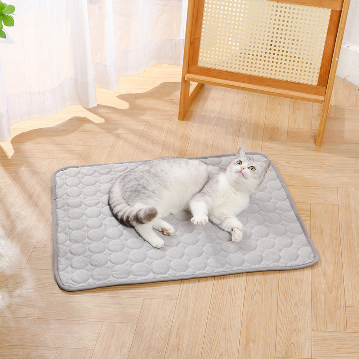 Pet Sleeping Mat for Dog and Cat Indoor Use