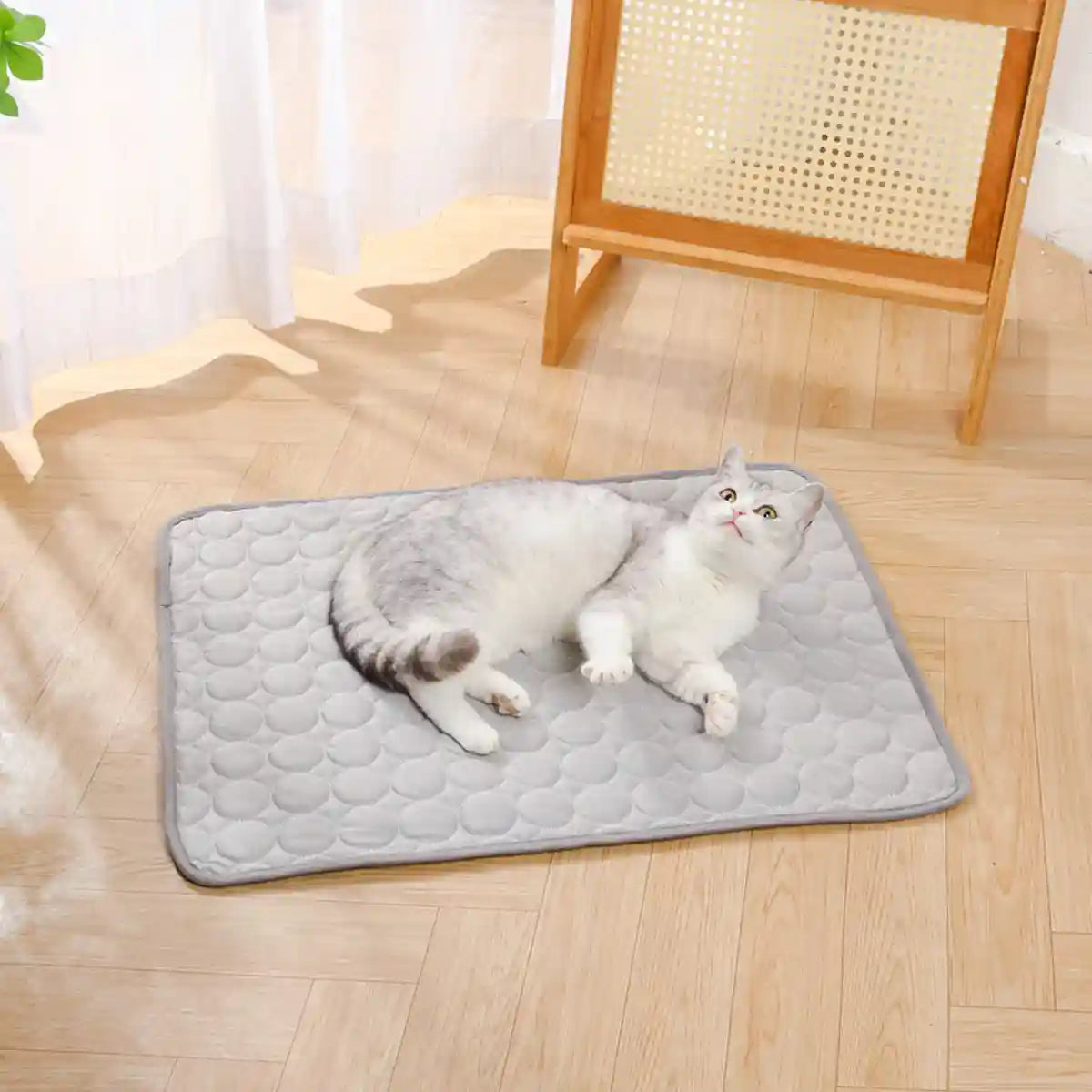 Pet Sleeping Mat for Dog and Cat Indoor Use