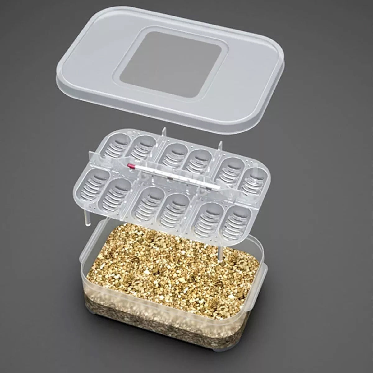Lizard Hatching Box 12 Holes Reptile Egg Incubator