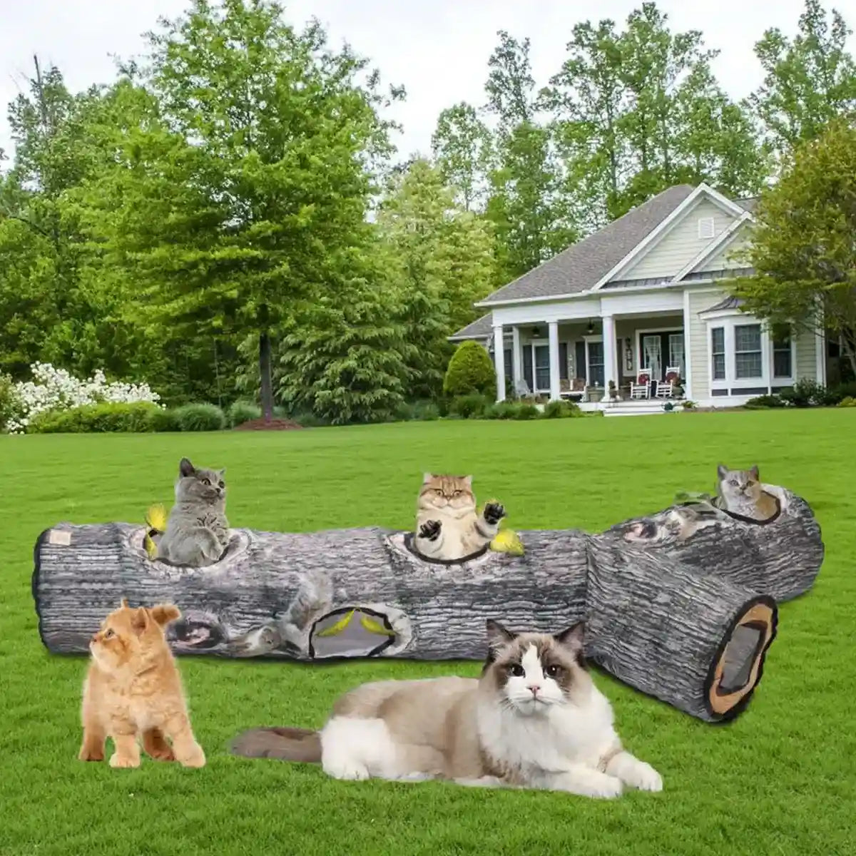 Y-Shaped Tree Trunk Cat Tunnel for Indoor & Outdoor Pet Play