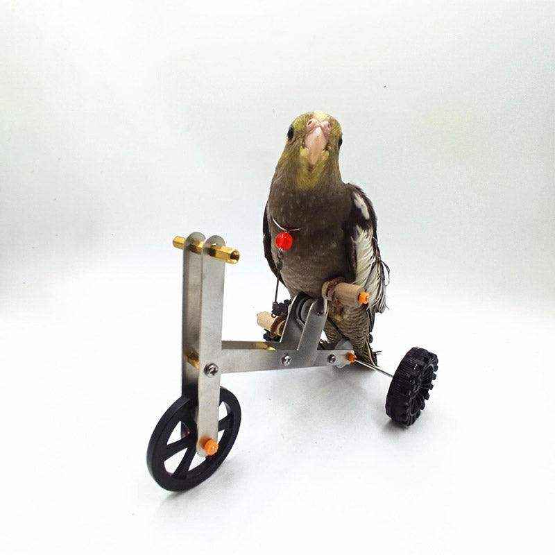 Interactive Bicycle Training Game Fun & Smart Parrot Toy for Active Birds