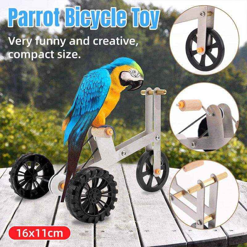 parrot toy bird bicycle for training and play