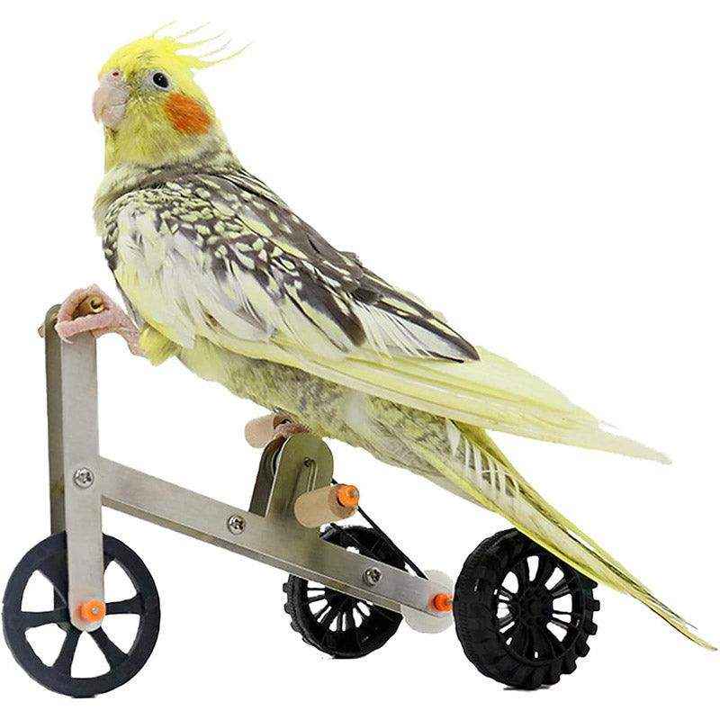 Interactive Bicycle Training Game Fun & Smart Parrot Toy for Active Birds
