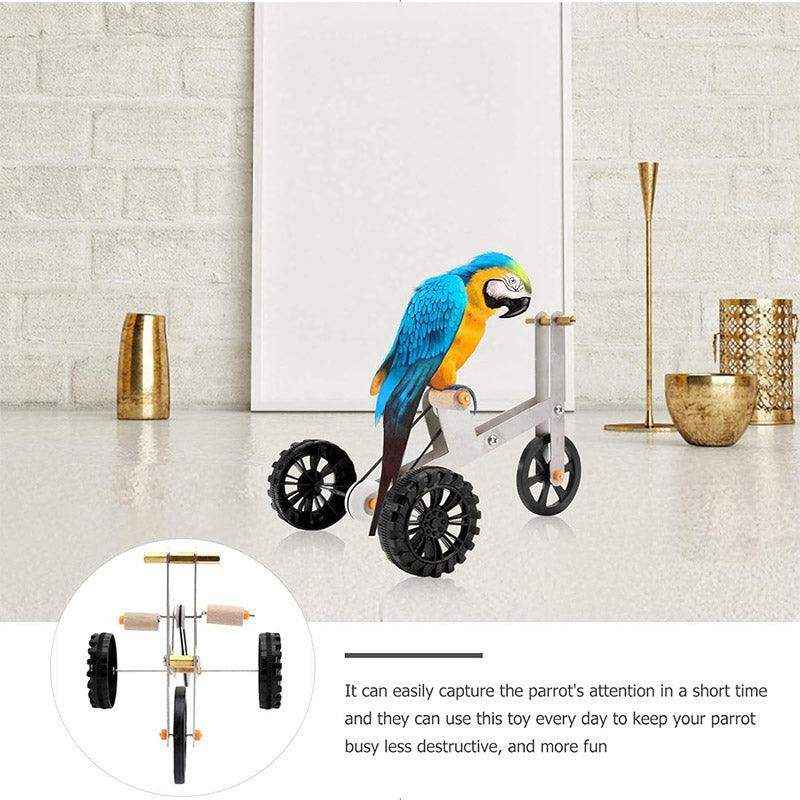 Interactive Bicycle Training Game Fun & Smart Parrot Toy for Active Birds