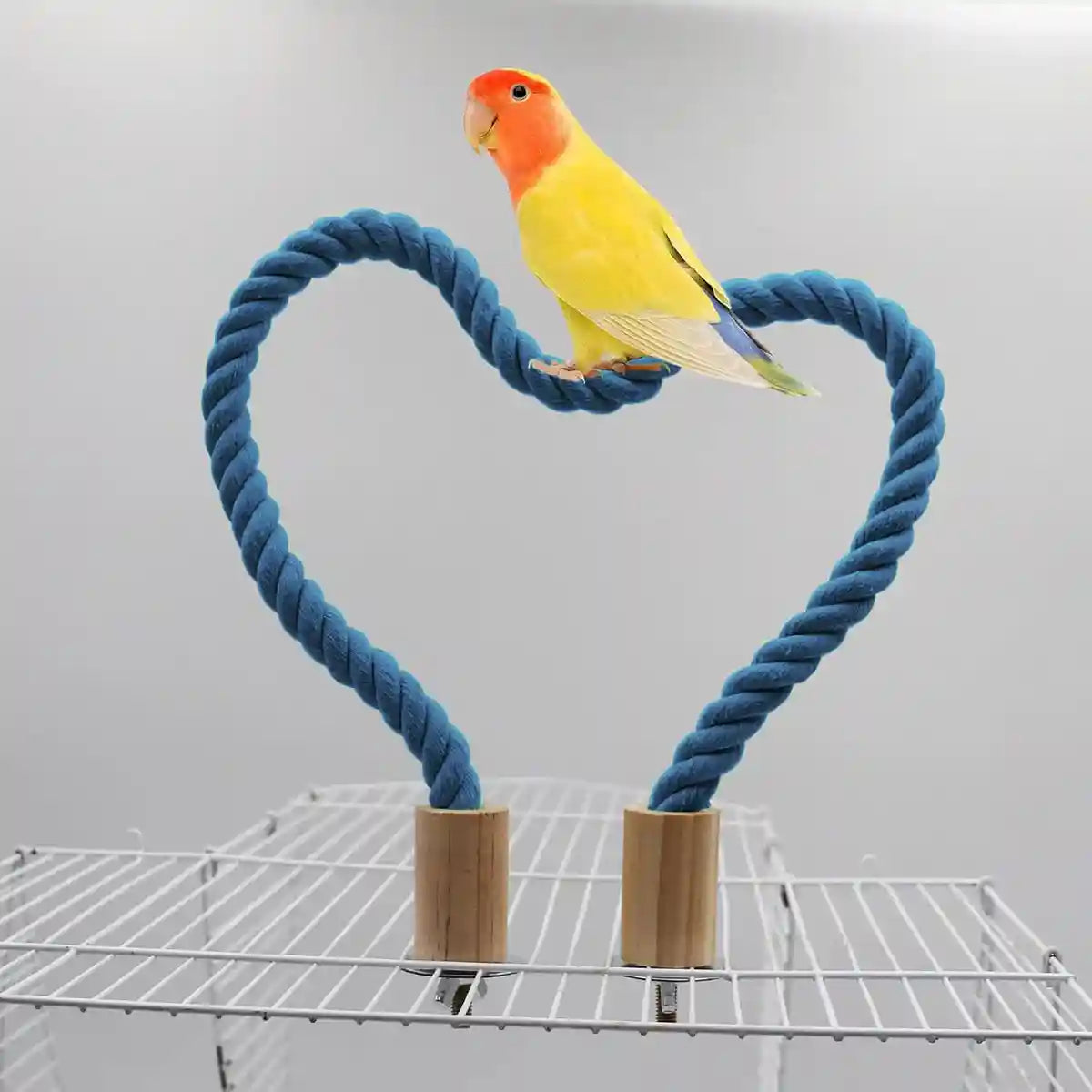 Flexible Bird Rope Perch for Parrots & Pet Birds 55–100cm Options
