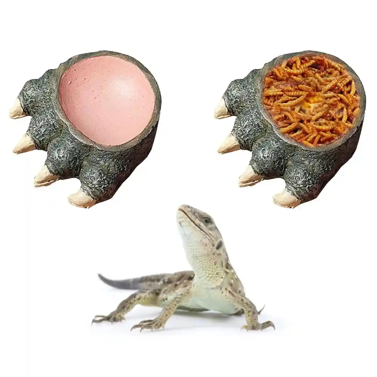 Dinosaur Claw Reptile Water Dish