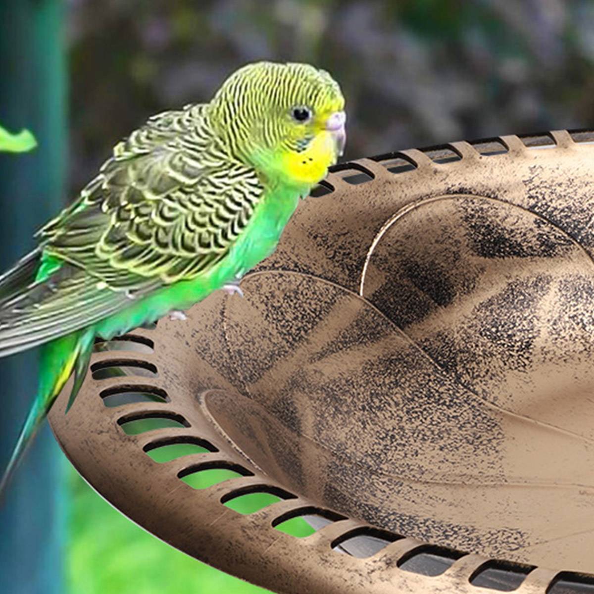 Pedestal Bird Bath for Outdoor Garden | Antique Vintage Style