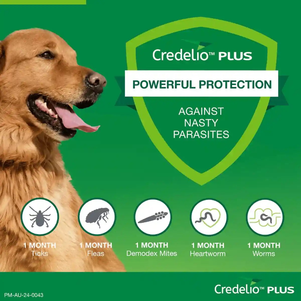 Credelio Plus Chewable Tablets For Large Dogs 11.1-22kg