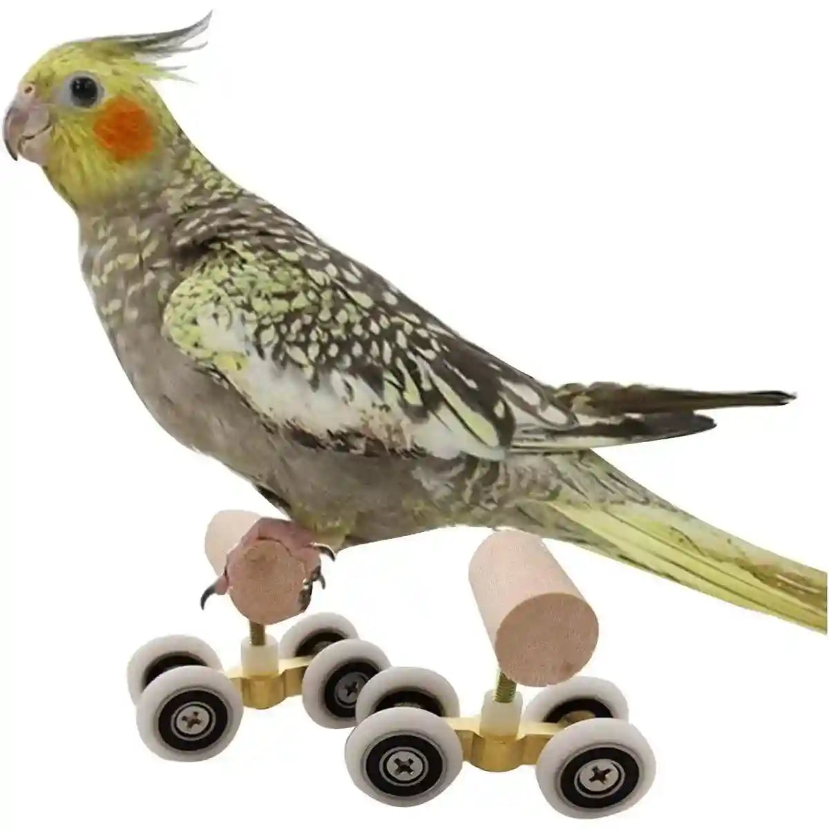 Mini Parrot Roller Skates with Secure Wooden Bird Perches for Training & Play