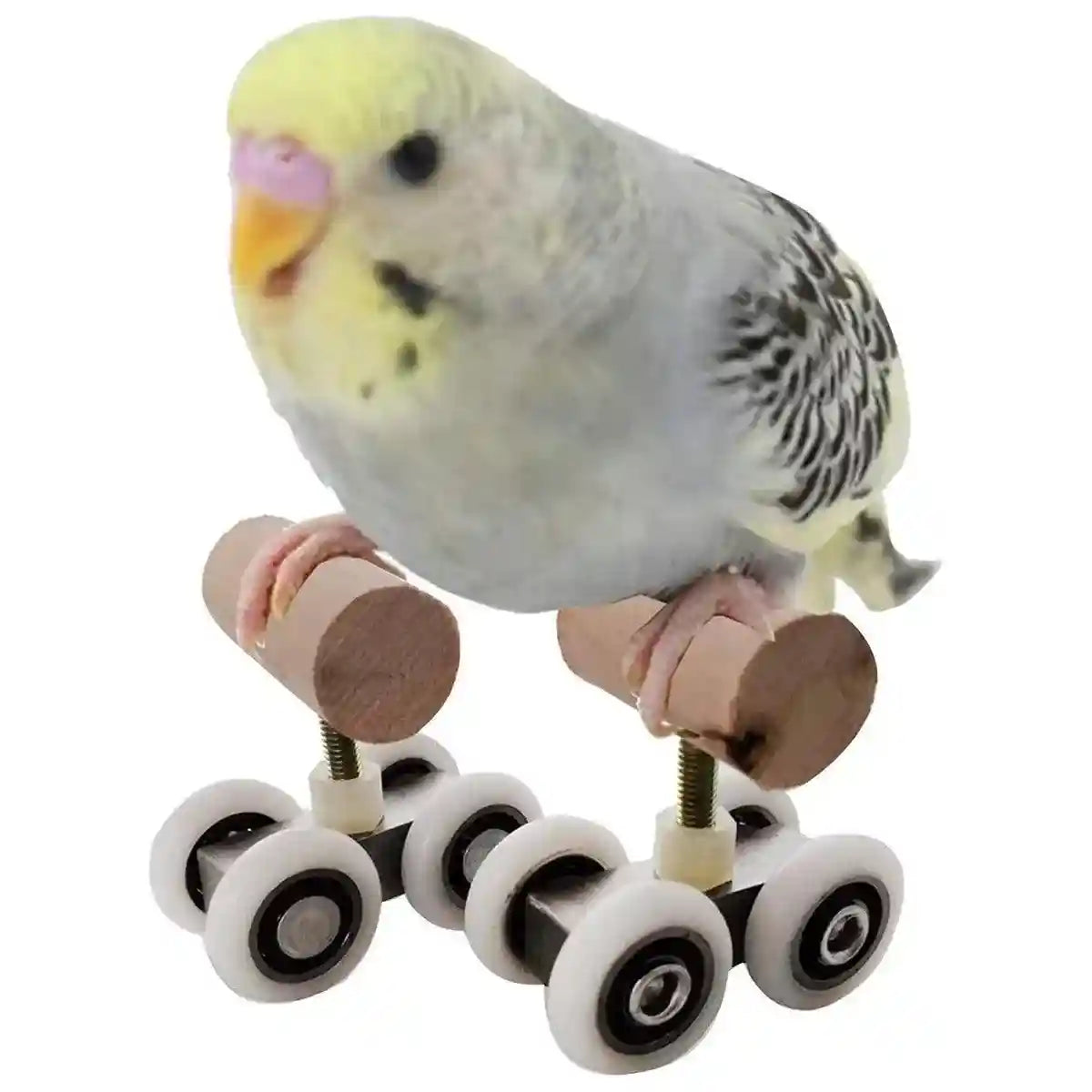 Mini Parrot Roller Skates with Secure Wooden Bird Perches for Training & Play