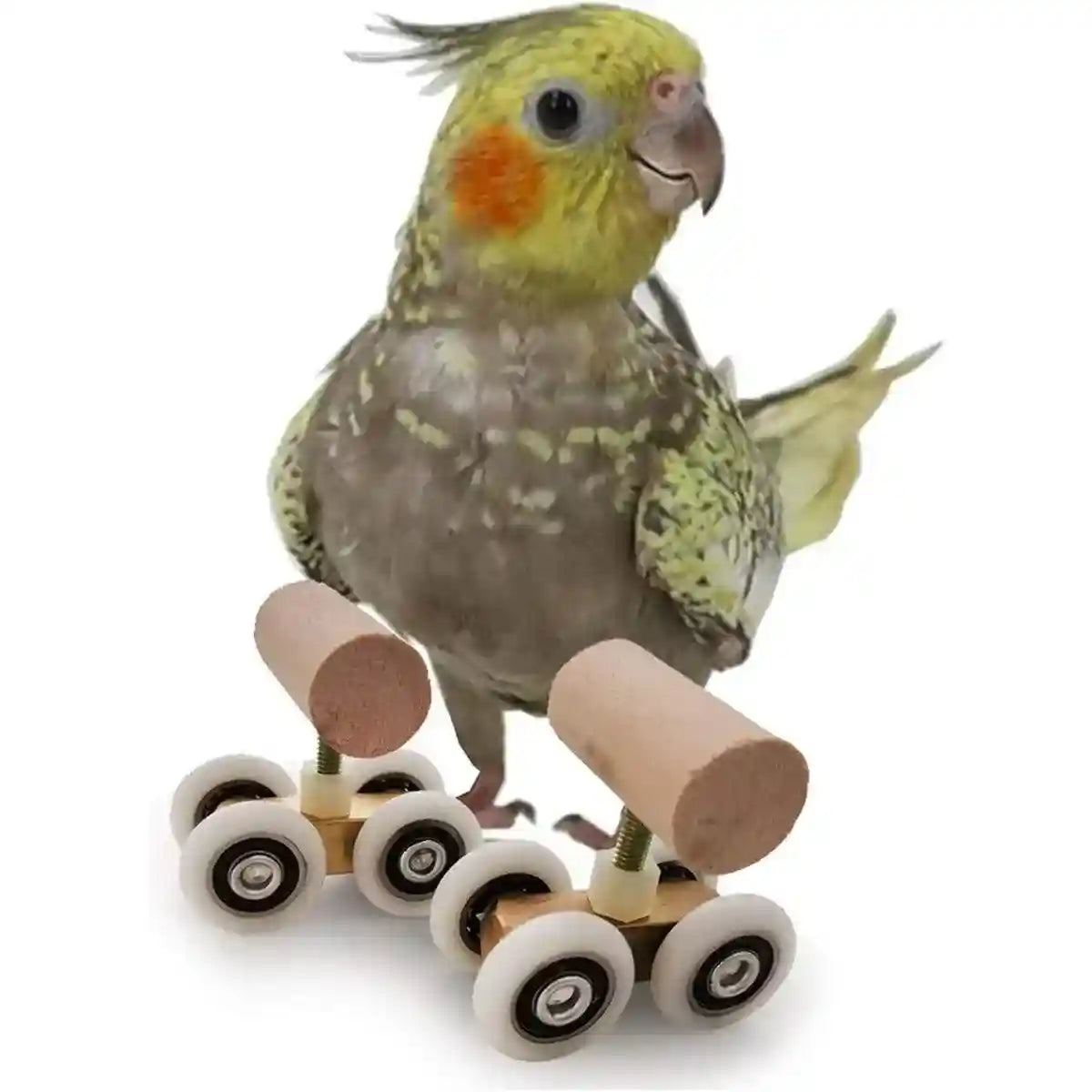 Mini Parrot Roller Skates with Secure Wooden Bird Perches for Training & Play