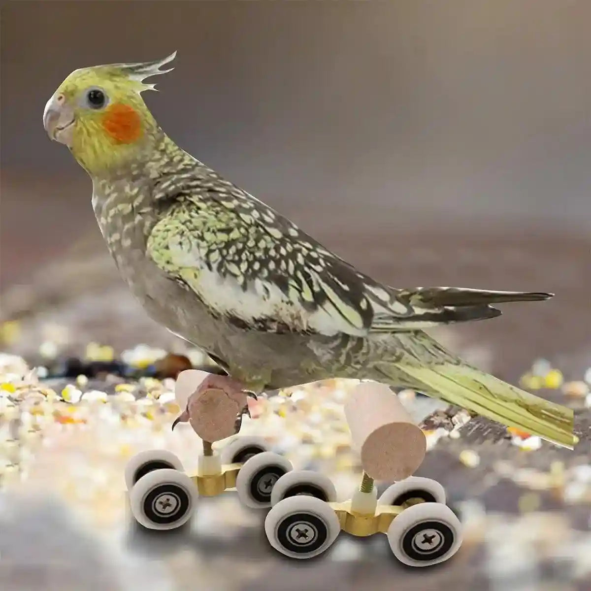 Mini Parrot Roller Skates with Secure Wooden Bird Perches for Training & Play