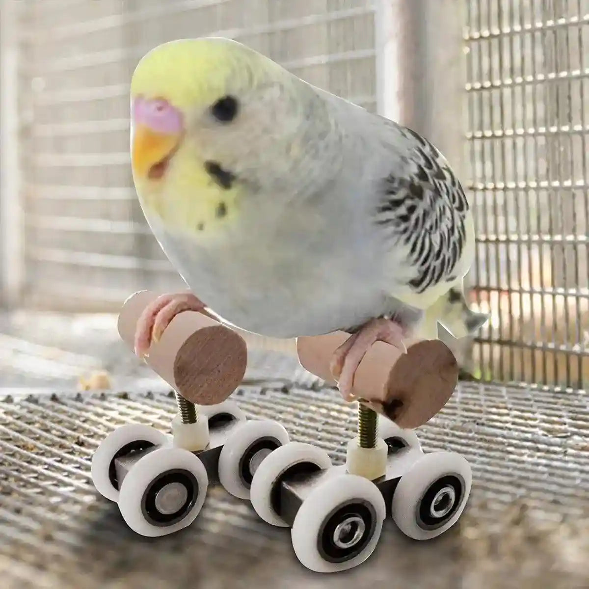 Mini Parrot Roller Skates with Secure Wooden Bird Perches for Training & Play