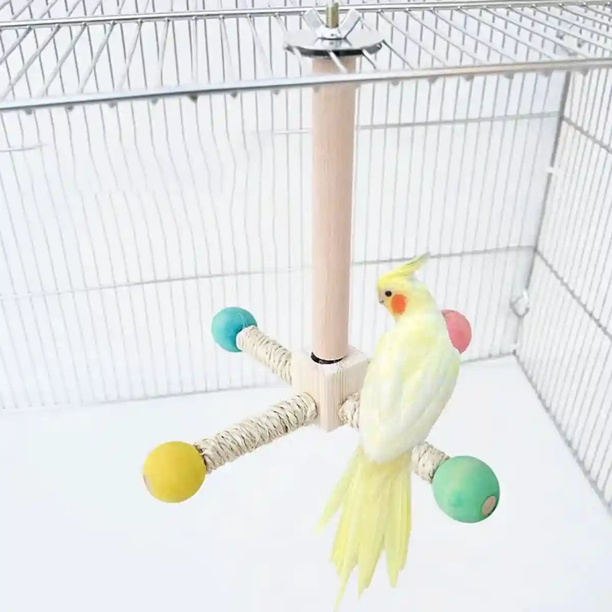 360° Rotating Bird Stand with Silent Bearings for Parrots and Budgies