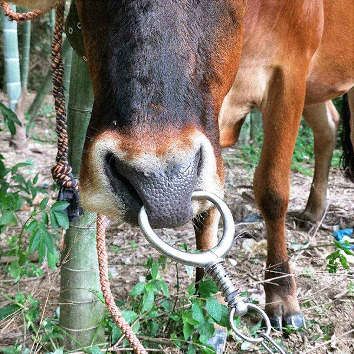 Stainless Steel Cattle Nose Clamp Secure & Durable Farm Handling Tool