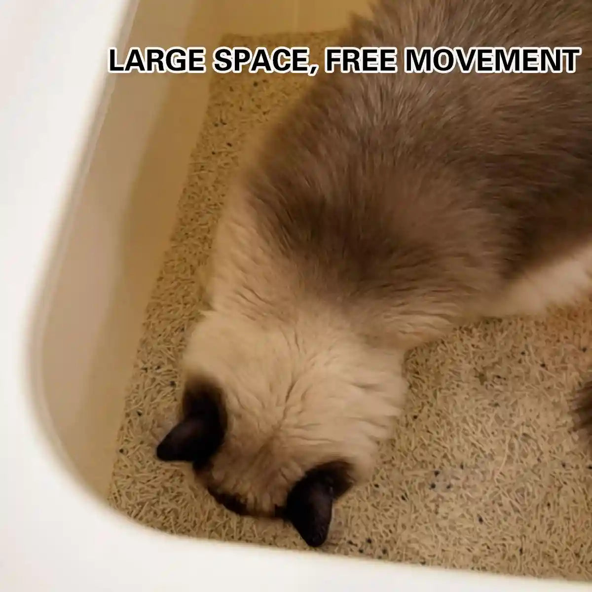 Spacious Enclosed Cat Litter Box With Dual Entry & Scoop