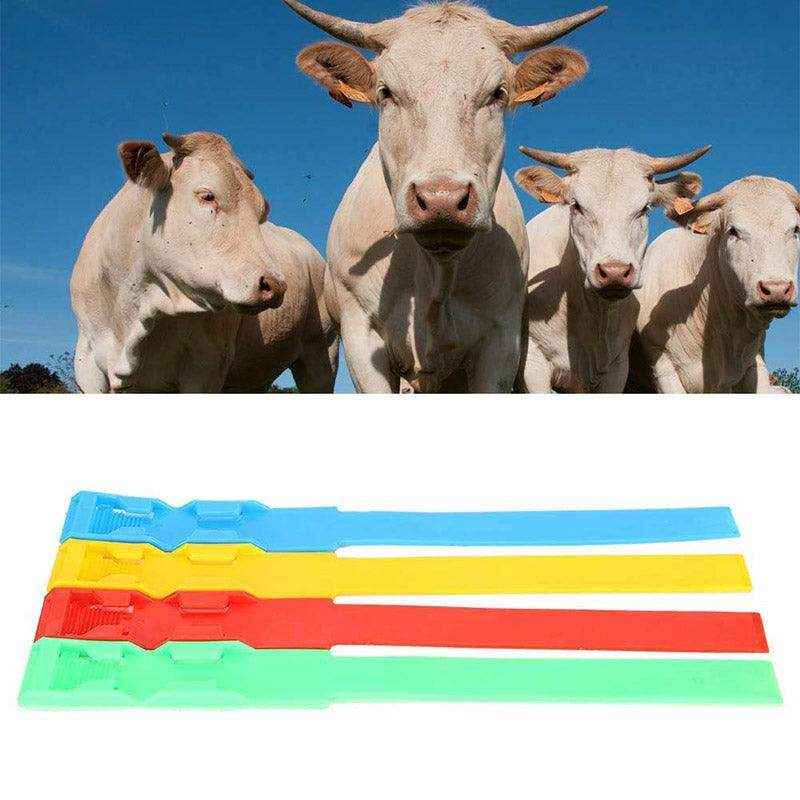 Adjustable Cow Identification Bands – Color-Coded Tags for Livestock Management