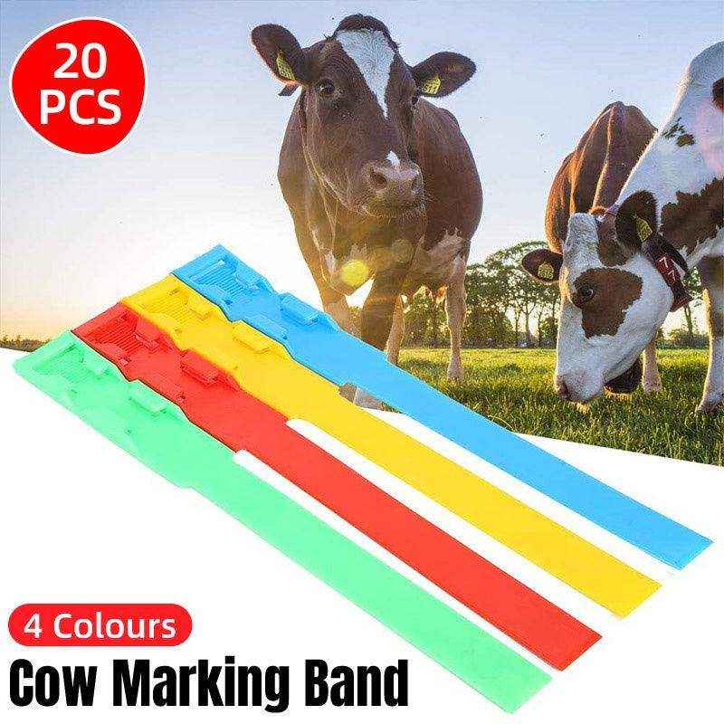 Reusable plastic cow identification bands in red, blue, green, and yellow for livestock sorting