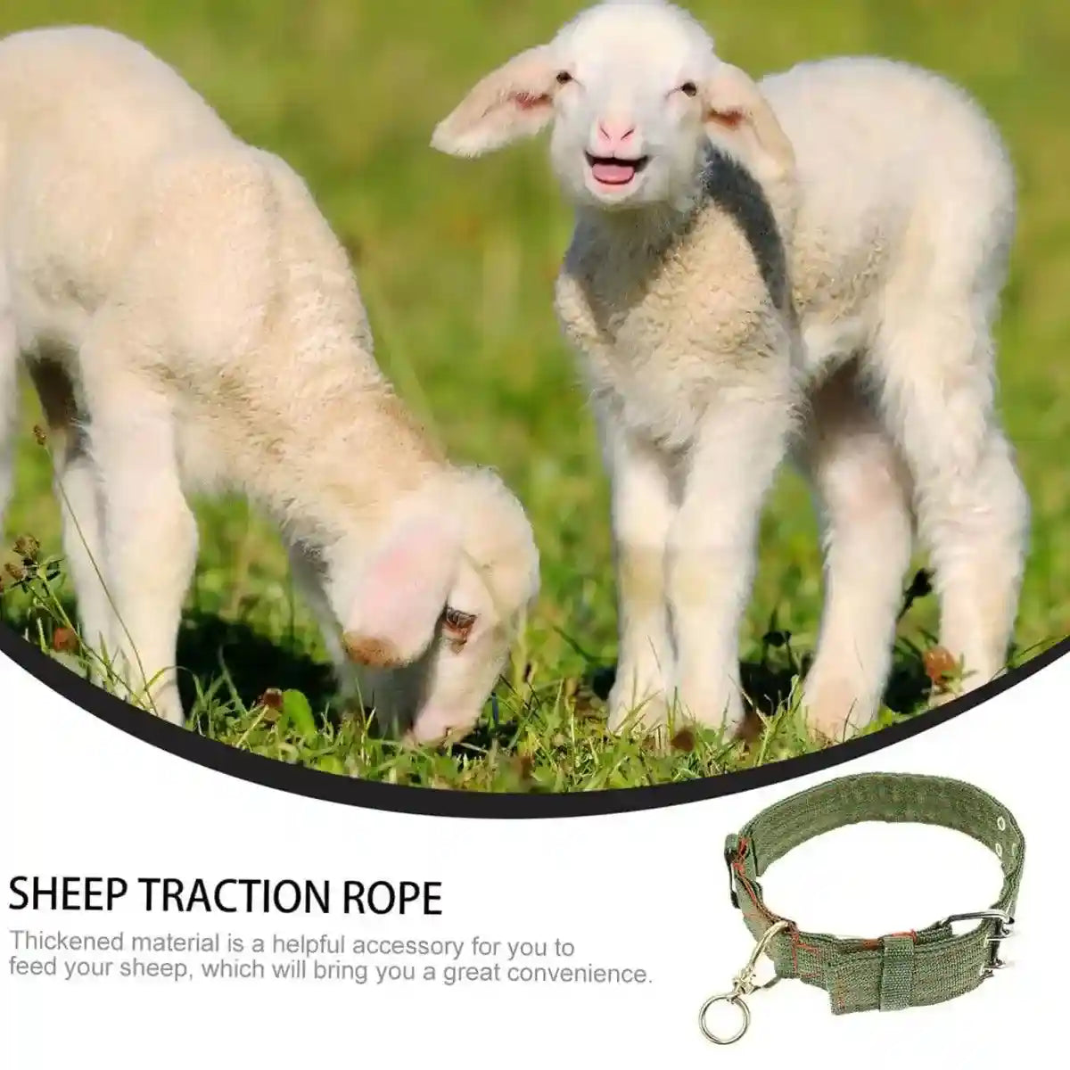 Adjustable Sheep Collar for Goats & Working Dogs Heavy-Duty Canvas Design