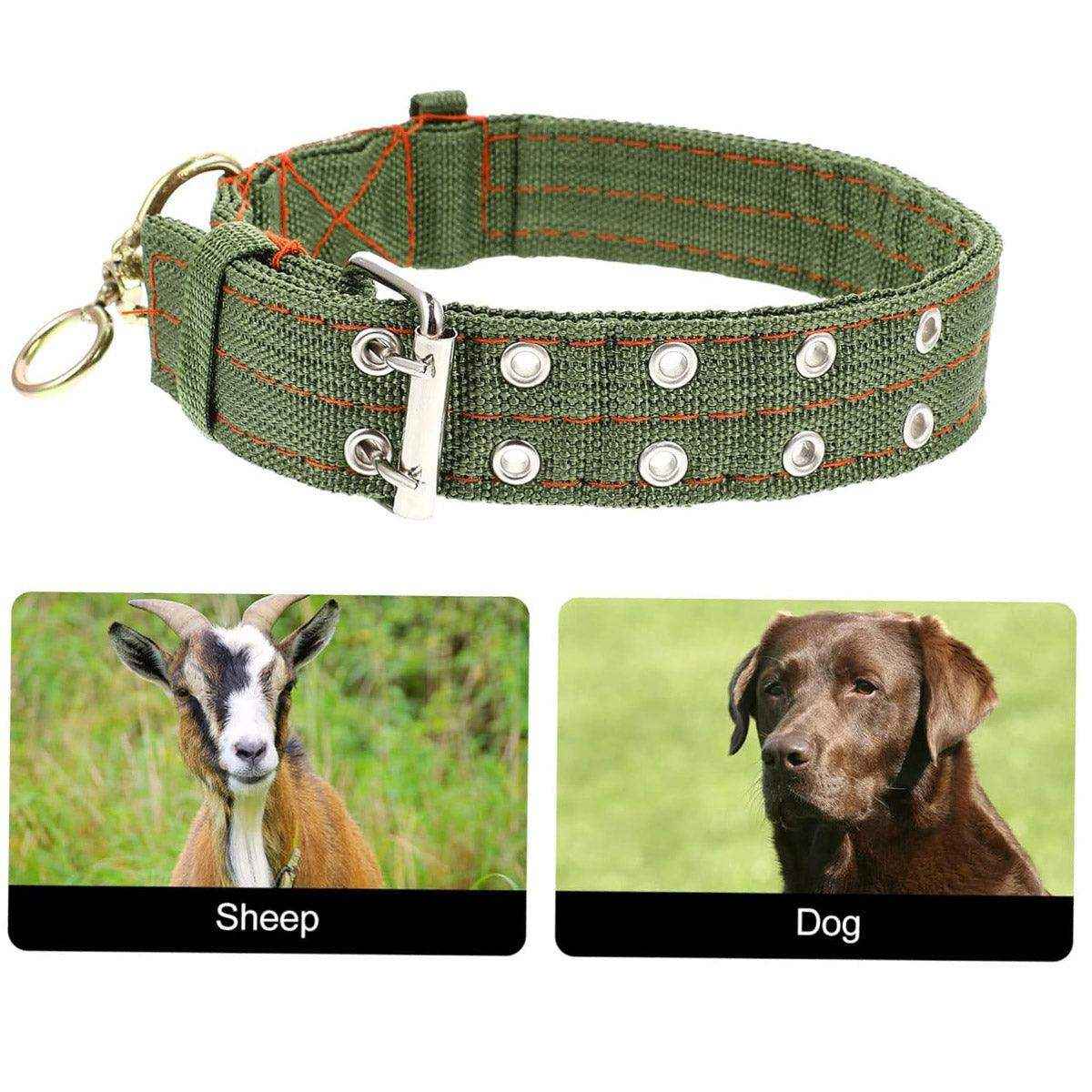 Adjustable Sheep Collar for Goats & Working Dogs Heavy-Duty Canvas Design