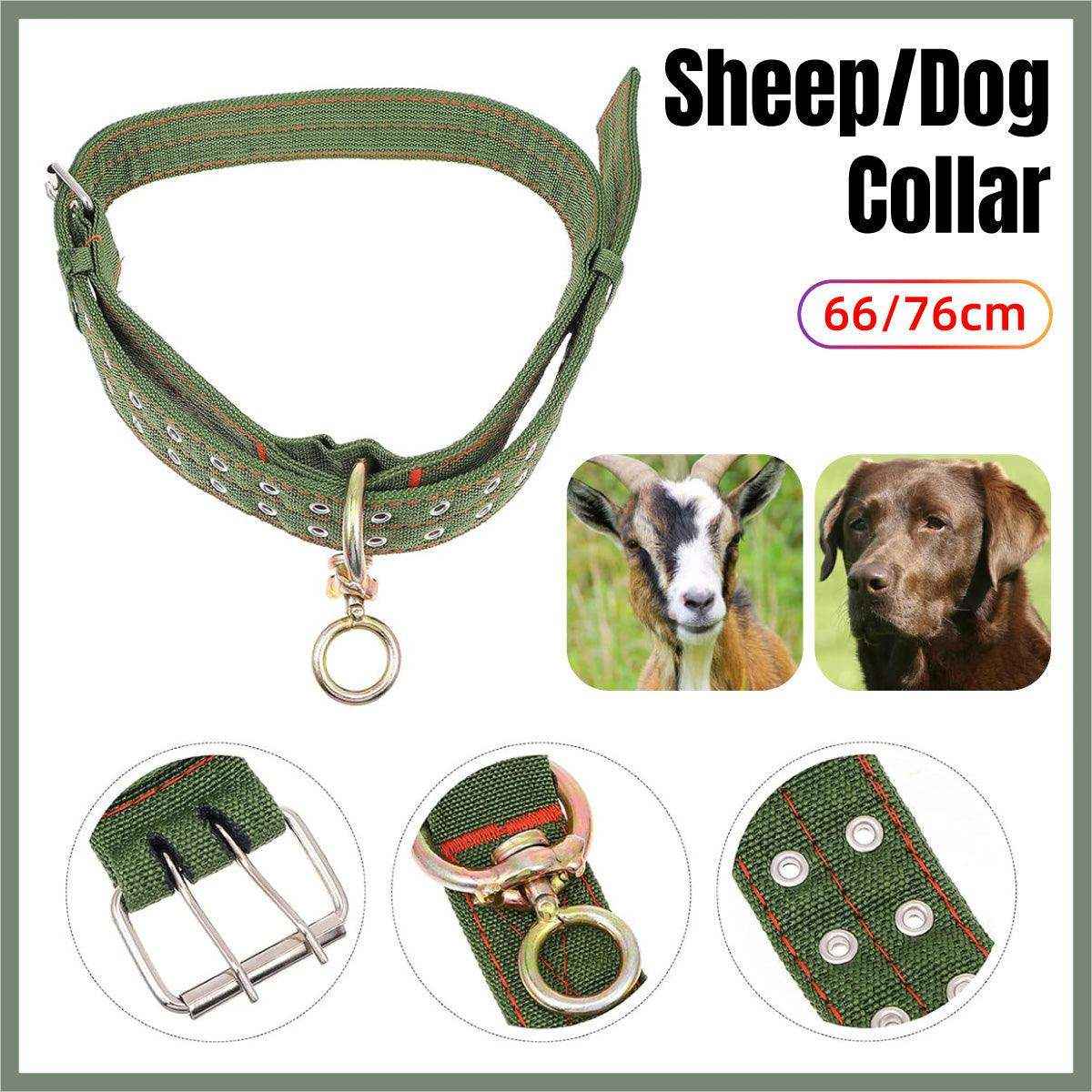 Adjustable Sheep Collar for Goats & Working Dogs Heavy-Duty Canvas Design