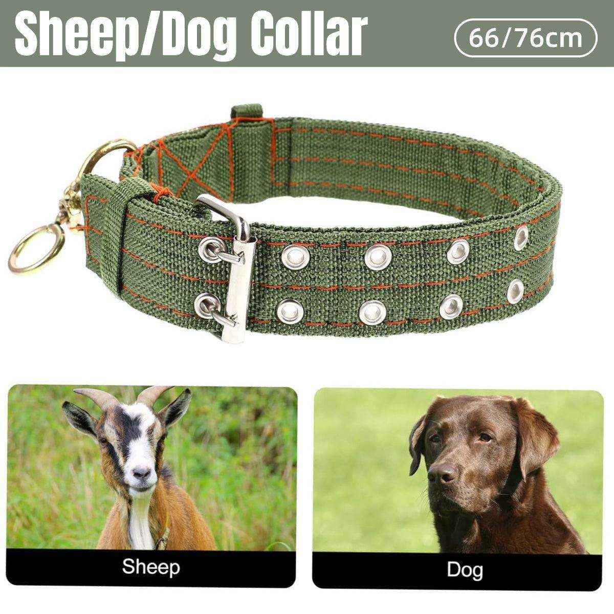 Adjustable military green sheep collar with double eyelets and metal buckle for livestock