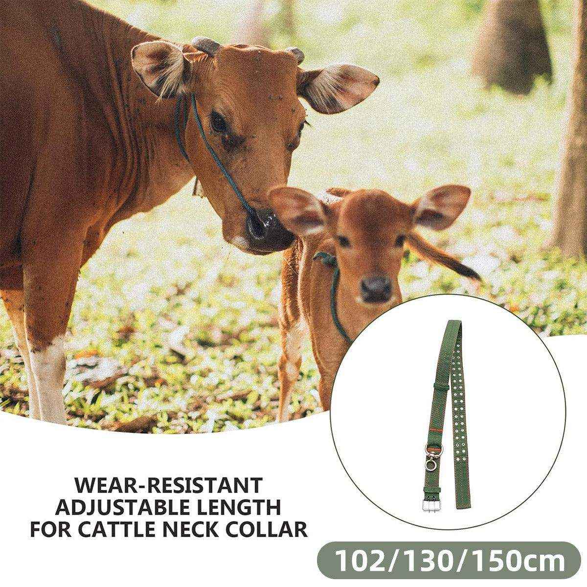 Heavy-Duty Adjustable Cattle Collar with Metal Buckle – Wear-Resistant Canvas