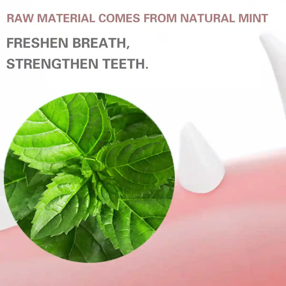 Snail Shape Catnip Toy Set With Adhesive Back and Mint Ball