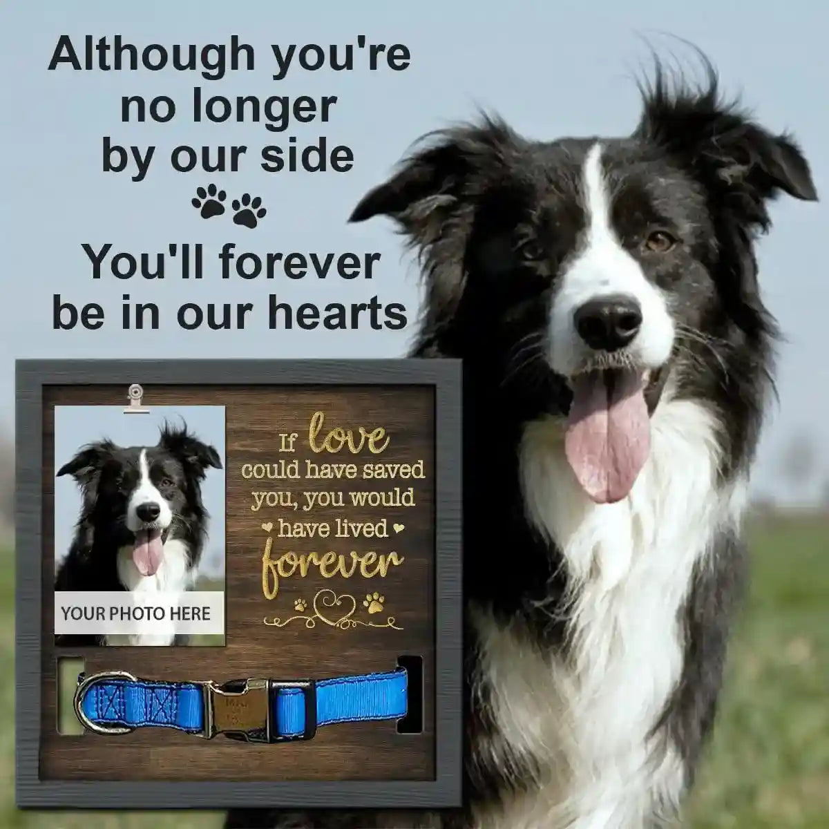 Wooden Pet Memorial Frame with Collar Holder and Photo Display