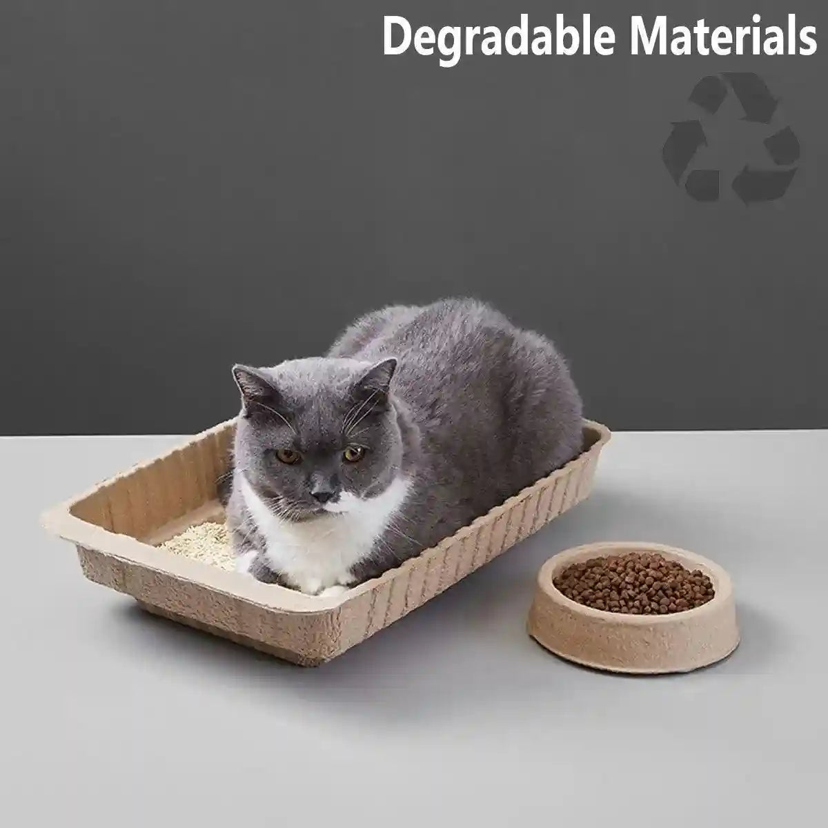 Eco-Friendly Cat Set with Disposable Litter Tray and Feeding Bowls