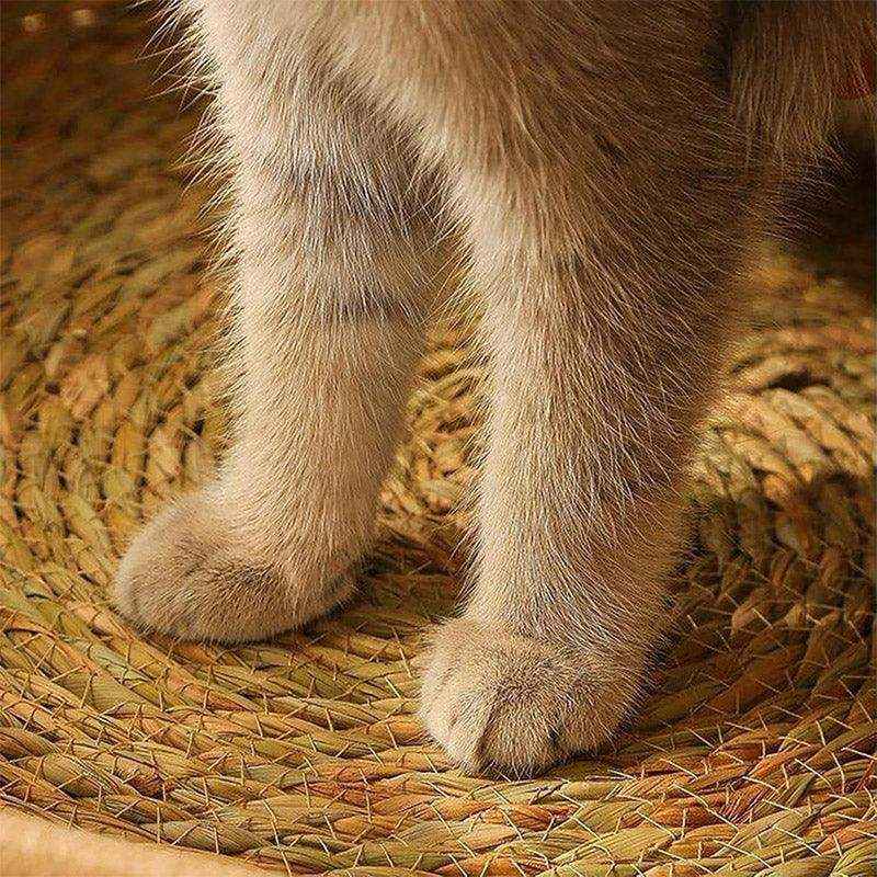 Comfortable Cat Bed Basket with Woven Mat for Cozy Resting