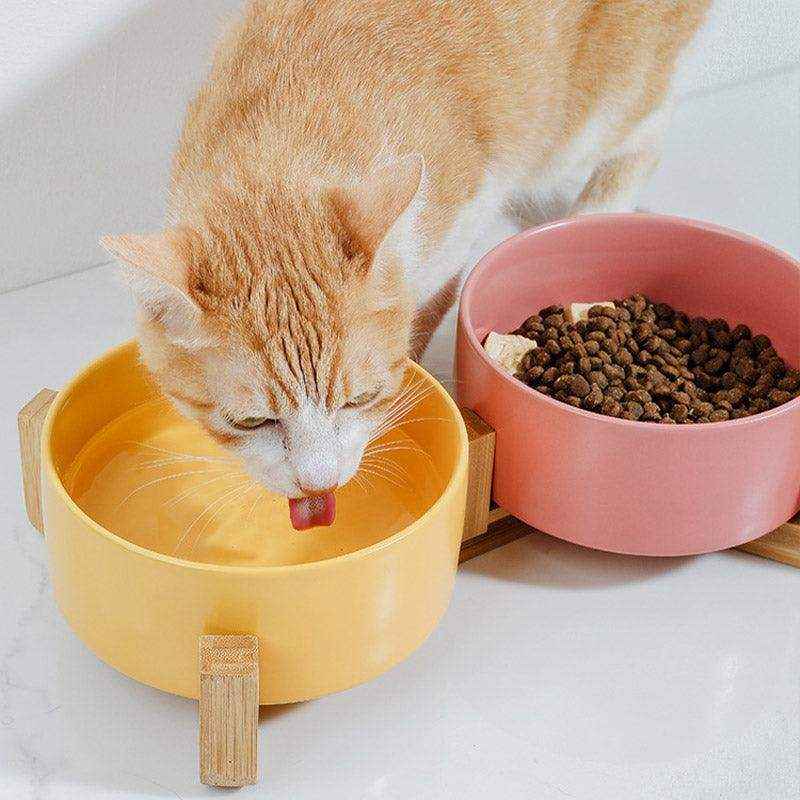 Ceramic Cat Bowl Set Elevated Double Pet Bowls with Bamboo Stand