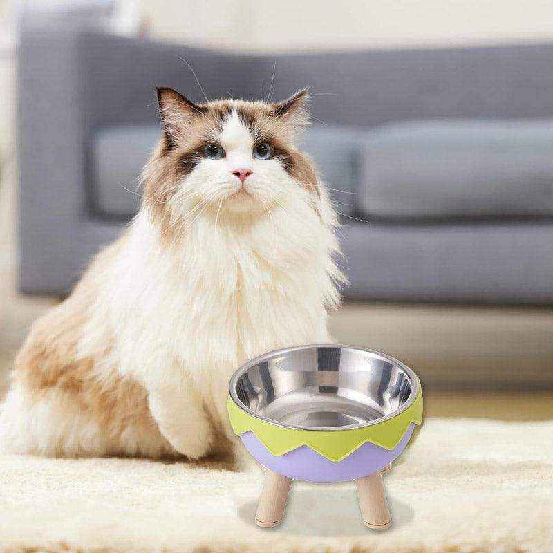 Modern Raised Feeder with Elevated Cat Bowls