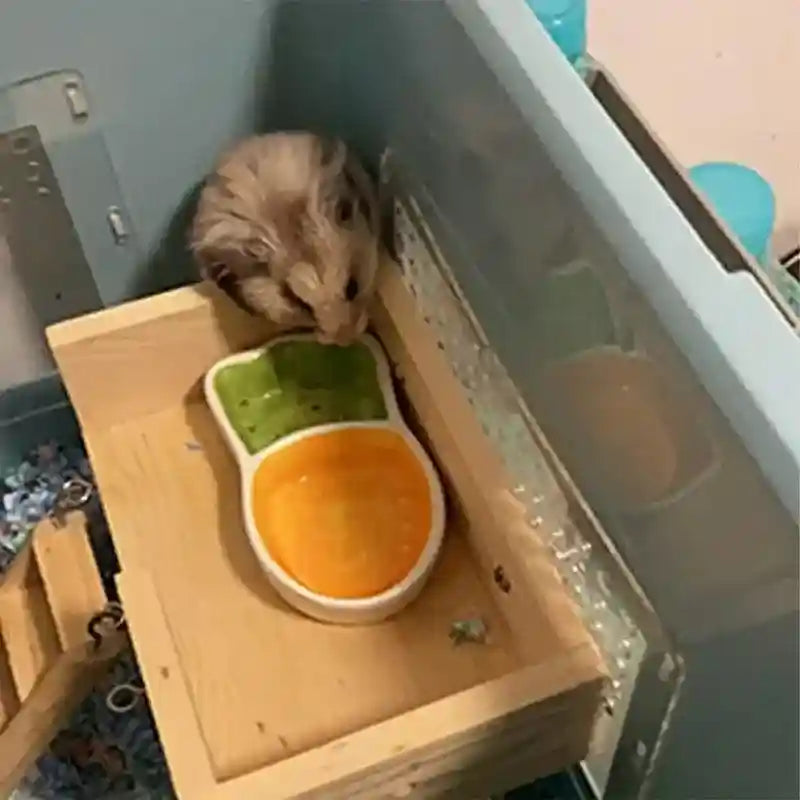Carrot-Shaped Pet Ceramic Bowl for Hamsters and Small Animals
