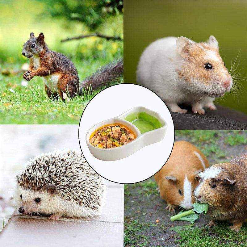 Carrot-Shaped Pet Ceramic Bowl for Hamsters and Small Animals