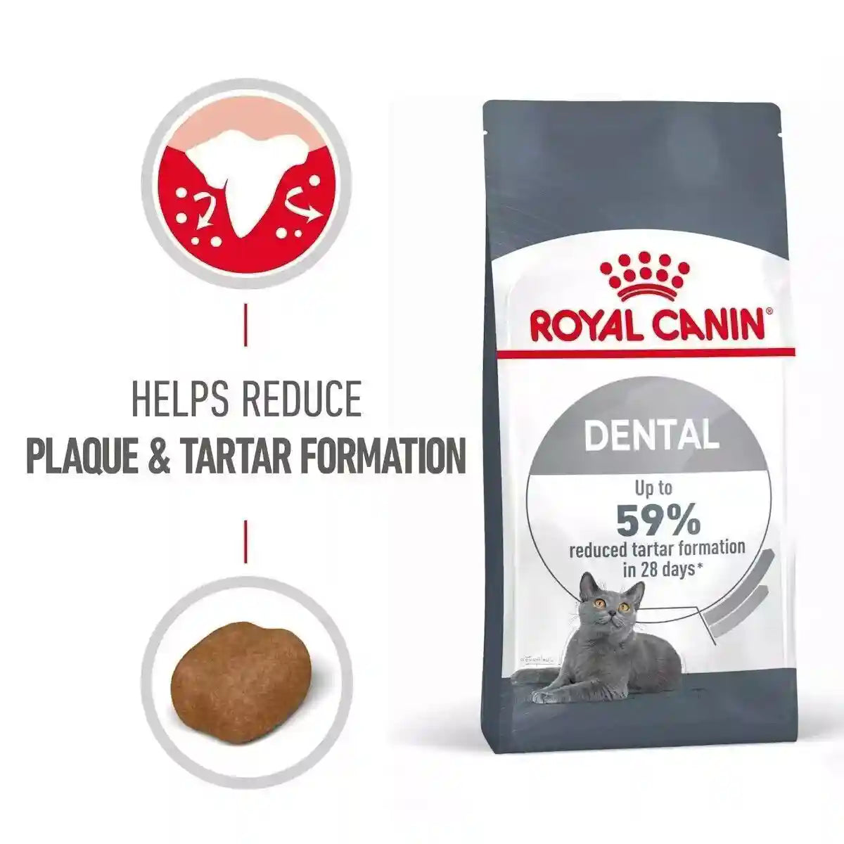 Royal Canin Dental Care Adult Dry Cat Food 400g